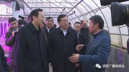 农业部部长来我县调研 嫁接黄瓜苗成焦点，农业创新受关注